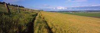 Posterazzi Wooden fence along a farm Ebey's Prairie Whidbey Island County Washington State USA Poster Print, (18 x 6)