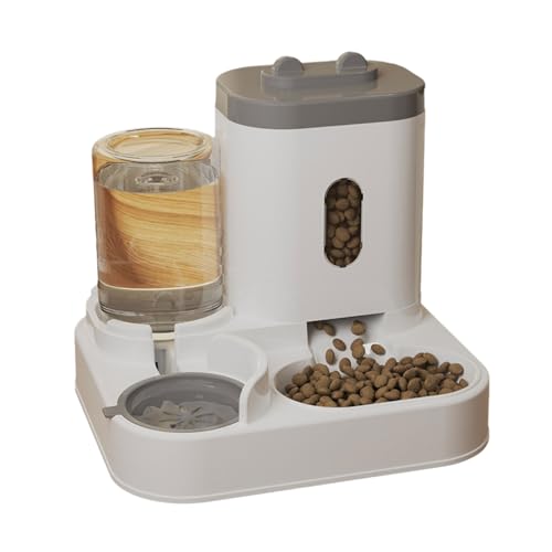 ybgp݊ߐ1000~bg{g{E^ybgpybgtB[_[p