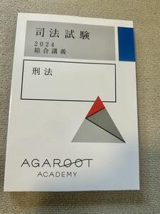 Amazon.co.jp: 2024 アガルート 司法試験 総合講義100テキスト 刑法