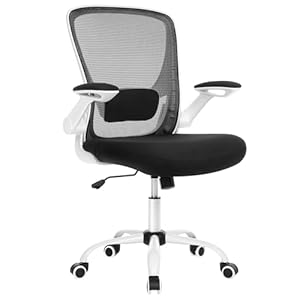 SONGMICS Chaise Bureau Ergonomique, Tissu en Maille, Support Lombaire, Mécanisme à Bascule, Assise Large de 53 cm, Accoudoirs Rabattables, pour Bureau, Chambre, Noir et Blanc OBN37WT