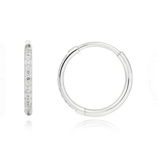 Limerencia Titanium Hoop Earrings for Women G23 Implant Grade Pure Titanium Lightweight Hoop Earrings for Women Men Sensitive Ears(10mm CZ Silver)