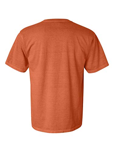 Image of Comfort Colors Men's Adult Short Sleeve Tee, Style 1717
