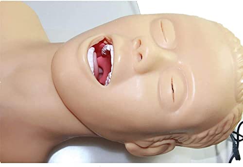 Manichino per intubazione in PVC con allarme dentale per la gestione delle vie aeree, strumento essenziale per l'addestramento infermieristico e l'educazione medica