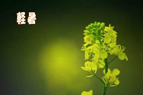 uyv5̋Guṽ|XgJ[htHgJ[hnKL͂Gtpostcard-