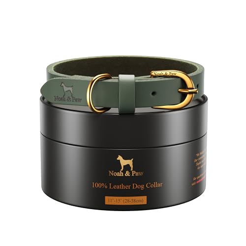 Noah & Paw Dog Collars for Small Dogs, Oil Wax Genuine Leather, 11-15 in