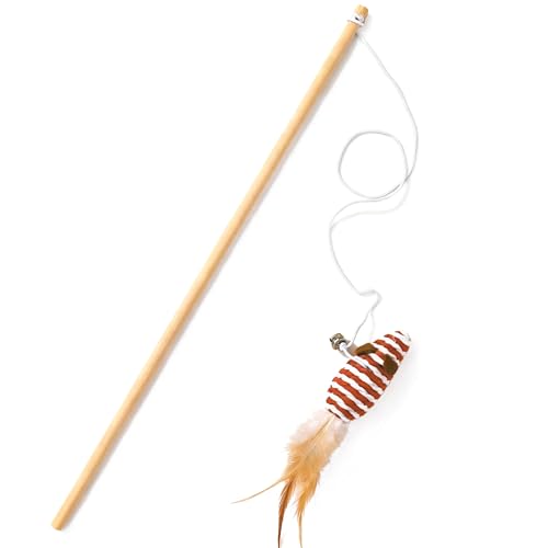 lVRؐ L炵 Ht ˂ i`f ybgpi ^s XgXU  Lp (ؐ iԂlY~j)