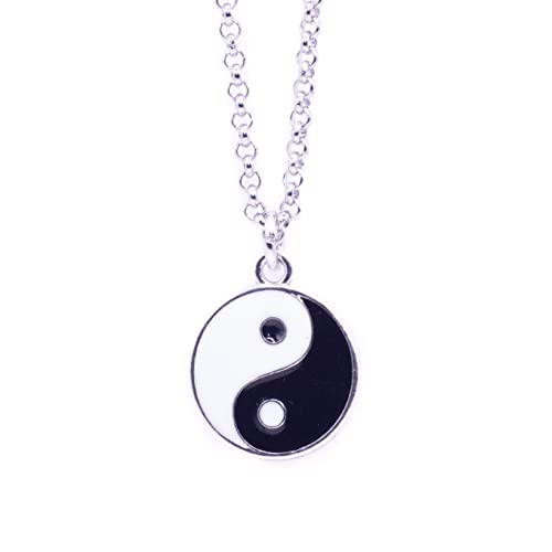 NILUXE DESIGN - Pendentif Yin Yang et Chaîne en Acier Inoxydable Argenté - Collier Avec Pendentifs Yin Yang pour Homme Femme Amulette Taichi - Pendentif pour...