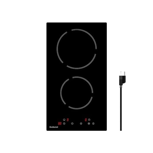 2 Burner Electric Cooktop, 2000 Watt, 110V with Plug | 12 Inch Touch Control Electric Stove Top for Countertop & Built-in Use | Timer, Child Lock, Hot Surface Indicator Included