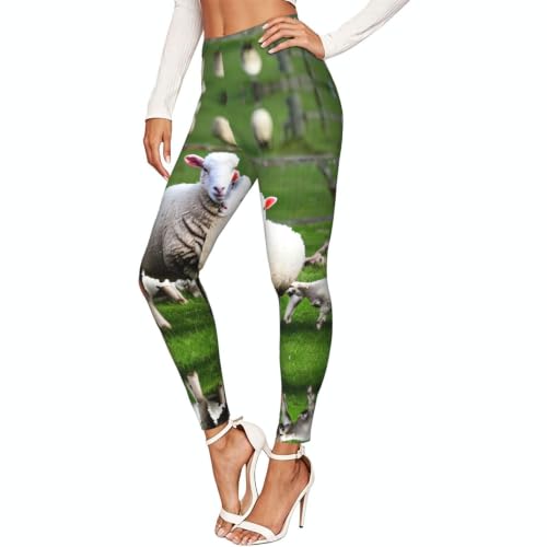 Leggings de compresión suave que alivian tus piernas mallas con ovejas de mujer