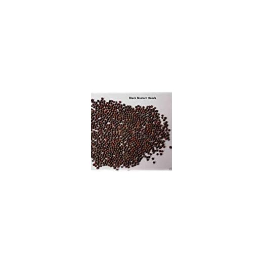 Black Mustard (Brassica nigra) 13 1000 Black Mustard Plant Seed (Brassica Nigra) Edible Leaves,flowers And seeds