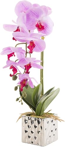 Orquídeas artificiales HUAQINGJUE sin riego para rincones oscuros 2
