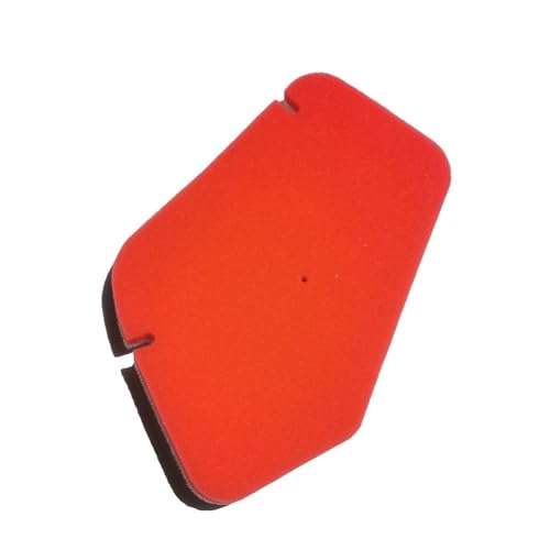 Nettoyant filtre à air scooter DIO 34 résout perte puissance AF34