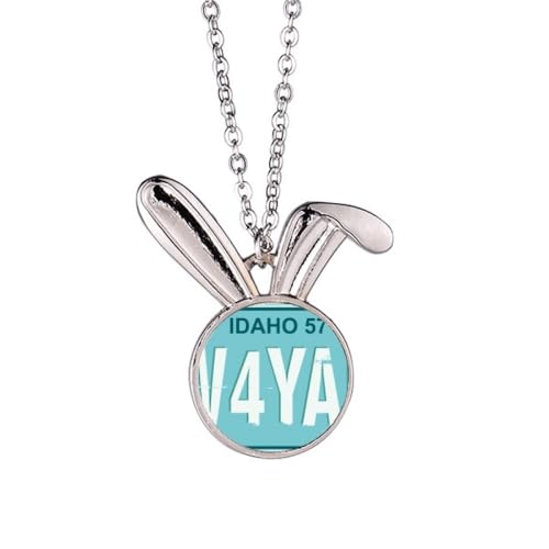 Collier lapin style plaque américaine un cadeau original pour son anniversaire