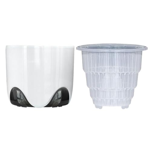 Dendrobium - Vaso per orchidee Dendrobium, vaso decorativo per orchidee, vaso decorativo per piantare colonne d'aria, per scrivania, libreria, balcone e davanzale (bianco)