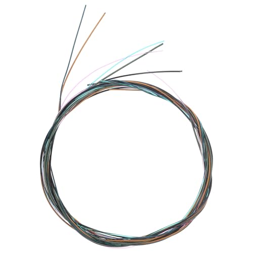 BIUDECO NVbNM^[p ʐFM^[ 6{Zbg  yANZT[