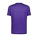 Holloway All-Pro Tee, Purple Heather, L