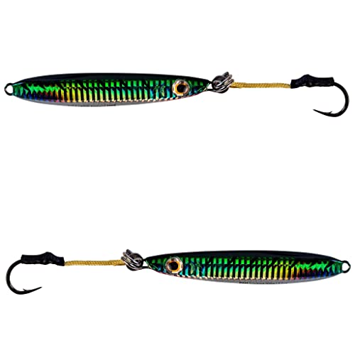 Palomar Fishing Flat Side 75g Ocean Jig Fast Vertical Deep Drop Lure | MUSTAD Hook-Owner Ring | Kevlar Assist Cord | 6-Pack | Next-Gen Graphene Paint | US Owned - Thumbnail 2