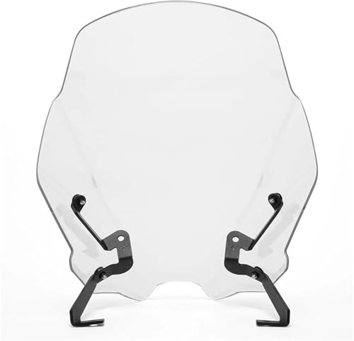 tgKX GSX8S 2023 2024 GSX-8S I[goCptgXN[ EChV[h(Clear)