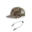 Bottomland/Loden