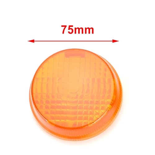 Freno luces trasero con tulipas de intermitentes para reparar Shadow 7
