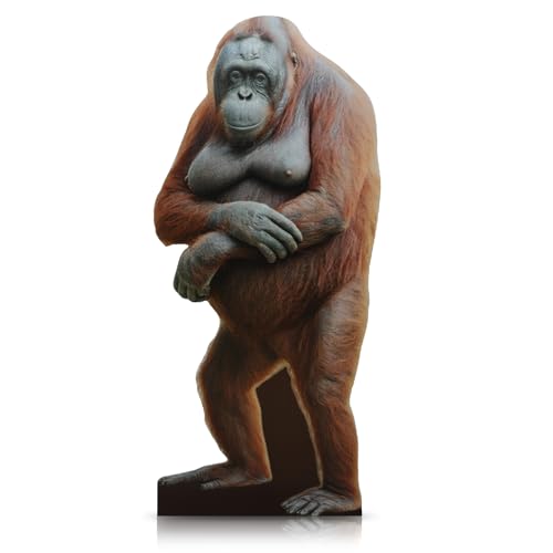 Yookeer 5.2 ft Orangutan Cardboard Stand-up Cutout Life-Size Cardboard Stand up Safari Zoo Theme...