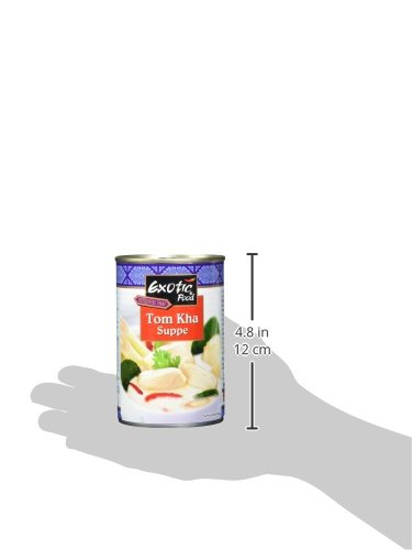 Exotic Food Tom Kha Suppe, servierfertig (1 x 400 ml Dose) | 400 ml (1er Pack)