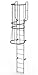 Tri-Arc WLFC1212 12-Rung Walk-Thru Fixed Steel Ladder with Cage