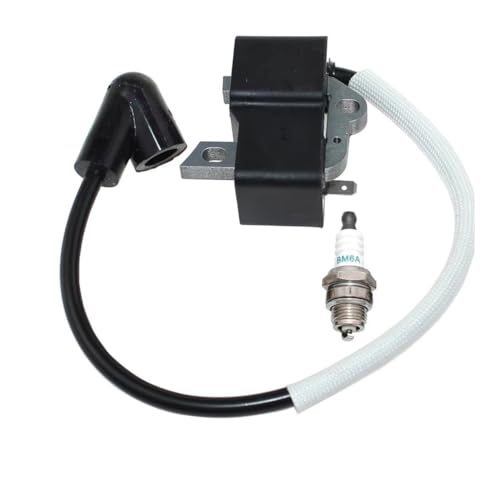 Module de bobine d'allumage 545046701 pour coupe-bordure B28PS