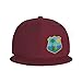 West Indies Cricket Board Flag Flat Brim Baseball Cap Men's and Women's Adjustable Hat Dark Red