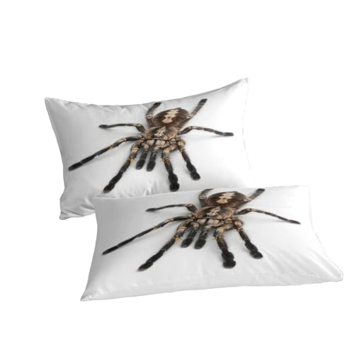 Parure de lit araignée 3D housse de couette microfibre 200x200cm avec taies d'oreiller