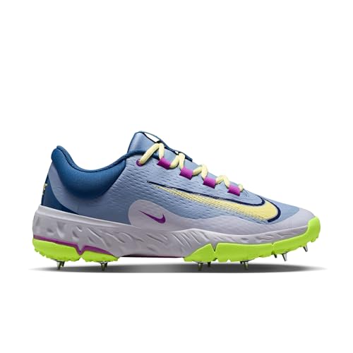 Image of Nike Mens Domain 3 Low Cricket Shoes