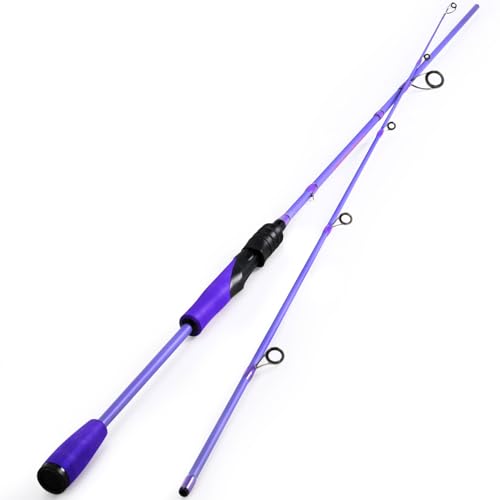 Sougayilang VoidFlare Performance Spinning & Casting Fishing Rod Lightweight IM6 Graphite with Hook Keeper EVA Grip
