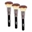 Powder Brush