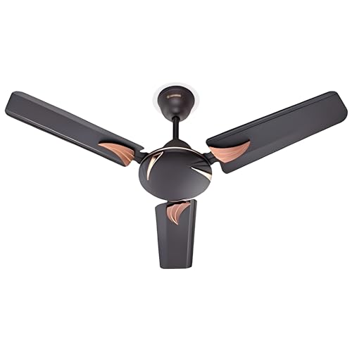 Candes Arena High Speed Anti-dust Decorative 5 Star Rated Ceiling Fan 2 Yrs Warranty (900mm, 36 Inch Coffee Brown)
