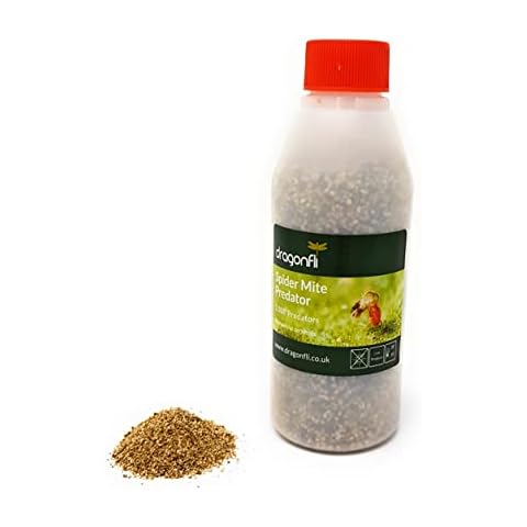 Dragonfli Red Spider Mite Killer Phytoseiulus Persimilis Predator Mites - 1000, 2000, 4000, 10000 (1000) Cover