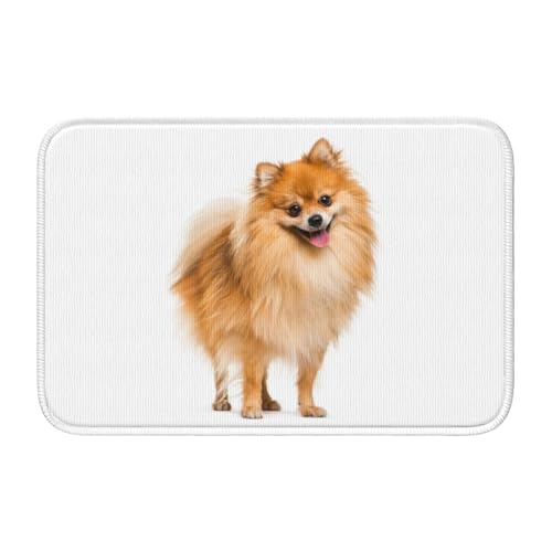 փ}bg |jA  oX}bg  O @}bg J[ybg  k ~ߕt 􂦂 xbg[  䏊 Q Ɩp ƒp 40×60cm