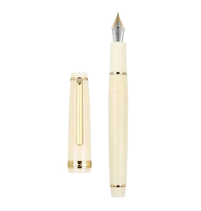 Stylo-plume transparent violet plume F sans fuite pour écriture propre de bureau et école