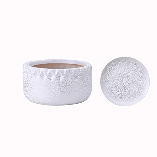 Grand pot de fleur en céramique YRYRYW avec plateau pour plante verte d'intérieur