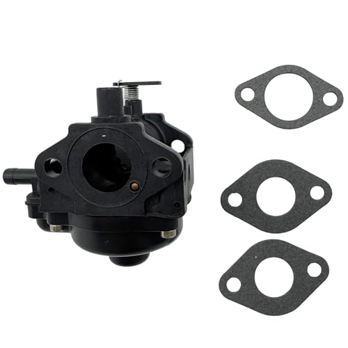 Carburateur pour souffleuse à neige efficace contre le blocage hivernal 801255
