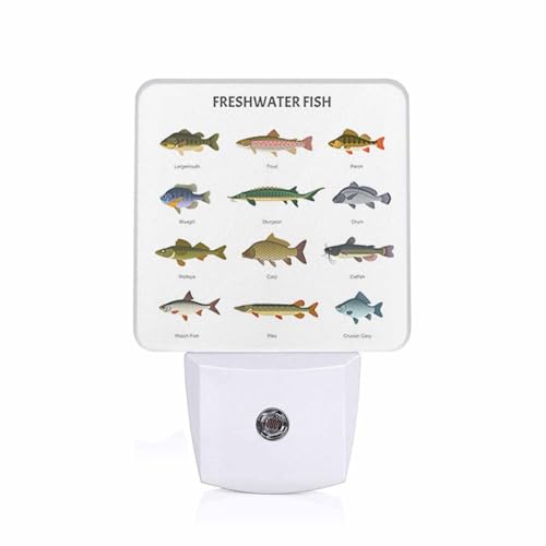 Image of Chrobak LED Night Light,Beautiful Underwater Lake Fish LED Night Light Plug into Wall with Dusk to Dawn Light Sensor White Energy Efficient Nightlight for Bedroom Bathroom Hallway Living Room Kitchen