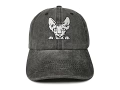 Sphynx Cat (Washed Black)