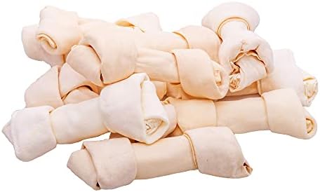 ppvd canine nf kidney function