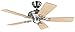 Hunter Fan 24038 Seville II 112 cm Ventilateur de Plafond Nickel Brossé avec Chaînette