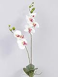 artplants