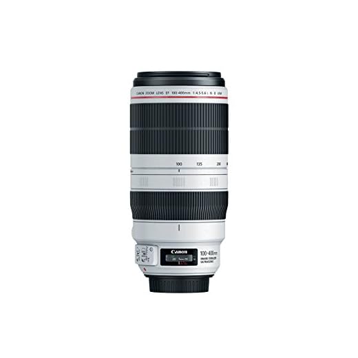 Canon EF 100-400mm L Series Lens