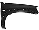 Equal Quality Paraf vorne rechts Mazda Tribute 01> C/Zierleiste L07002