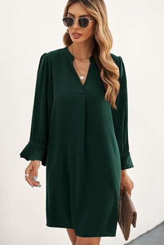 Image of Wkior Womens Fall Ruffle Long Sleeve V Neck Shift Dresses (S-XXL)
