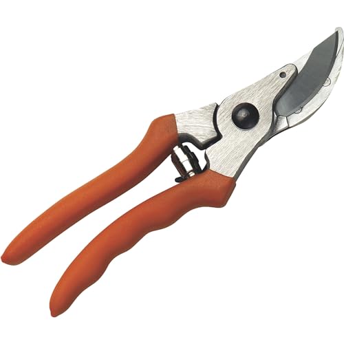 Recopilación y reviews de Tijera stihl disponible en línea. 1