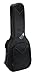 Reunion Blues RBXA2 Acoustic Guitar Bag