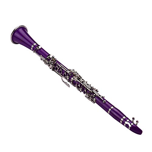 Clarinet,Muslady 17-Key Clarinet,Bb Flat ABS Woodwind Instrument with Carry Case Cleaning Cloth Mini Screwdriver Reed Case 10pcs Reeds